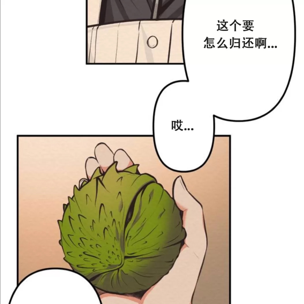 第 75 页