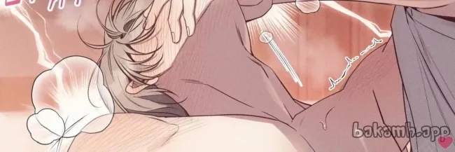 第 216 页