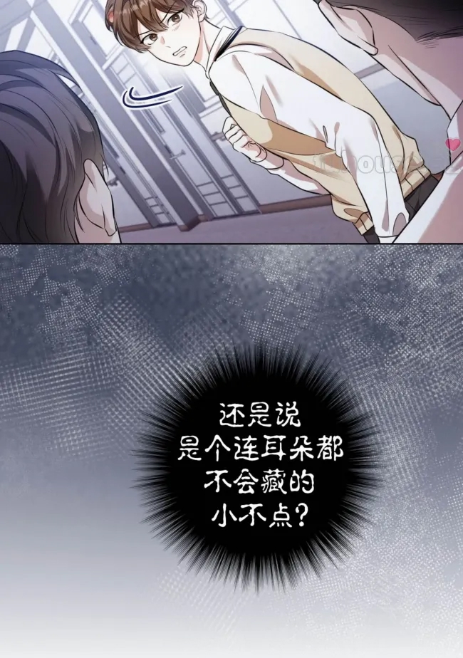 第 73 页