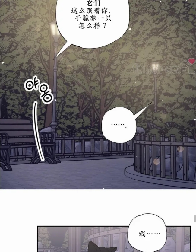 第 58 页