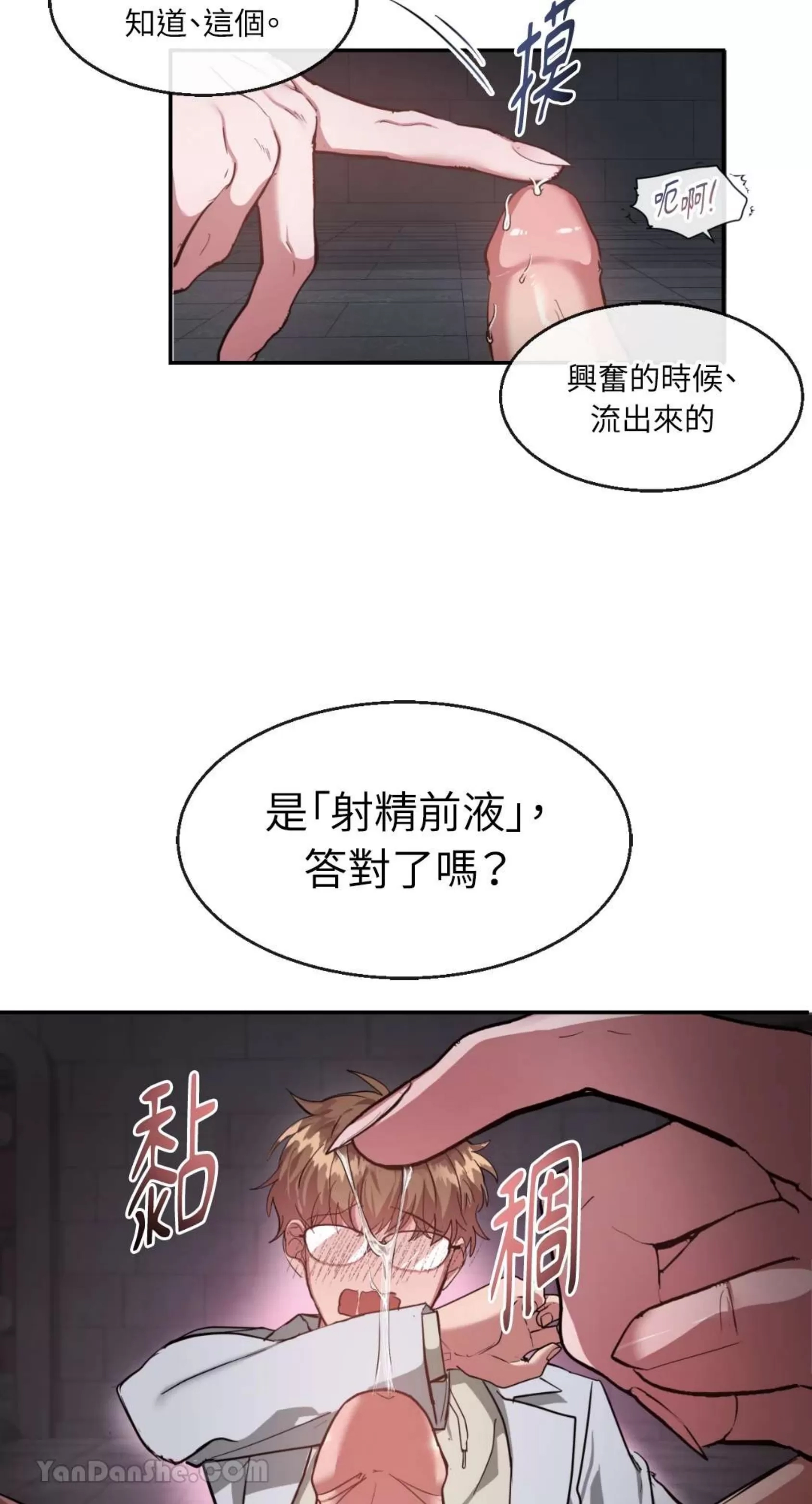 第 41 页