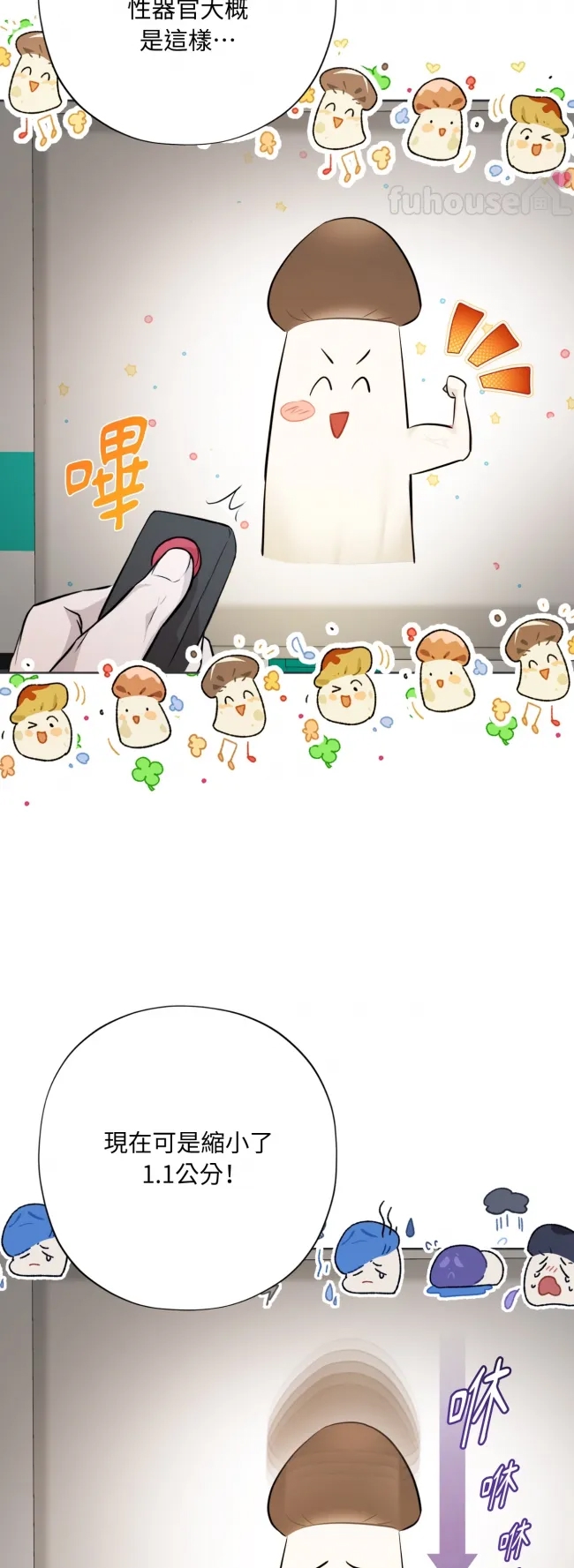 第 36 页