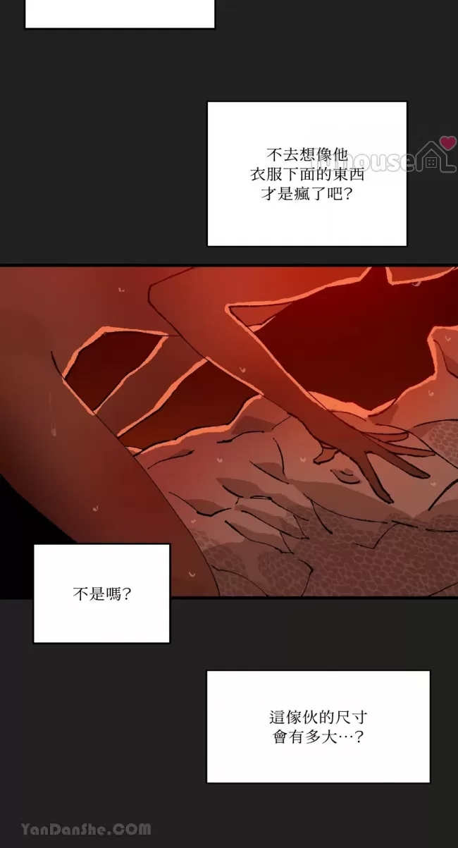 第 51 页