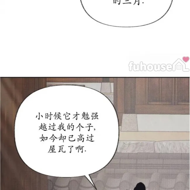 第 74 页