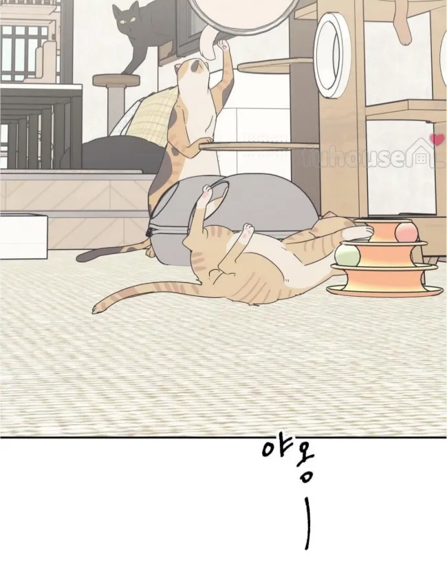 第 80 页