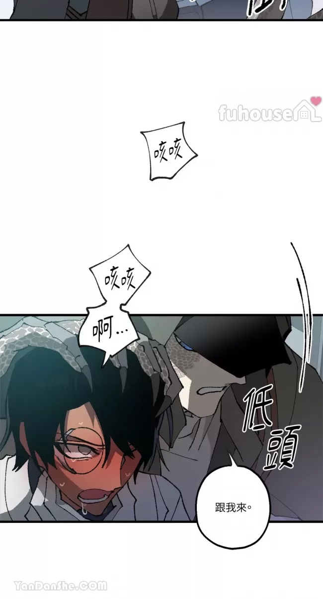 第 38 页