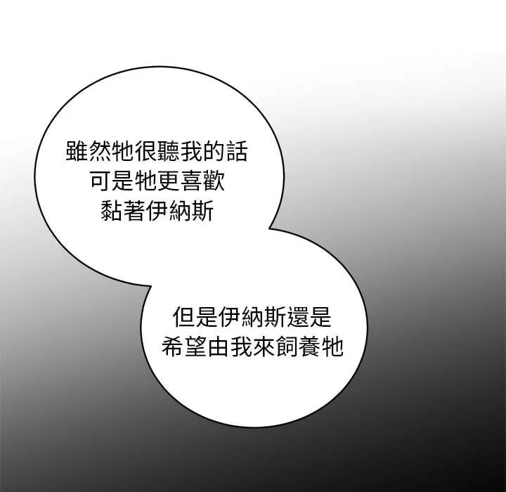 第 97 页