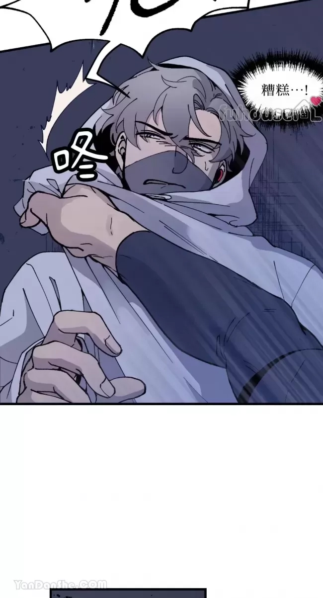 第 43 页