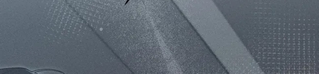 第 204 页
