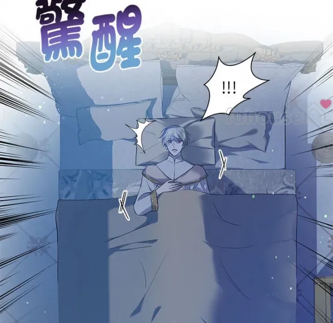 第 101 页