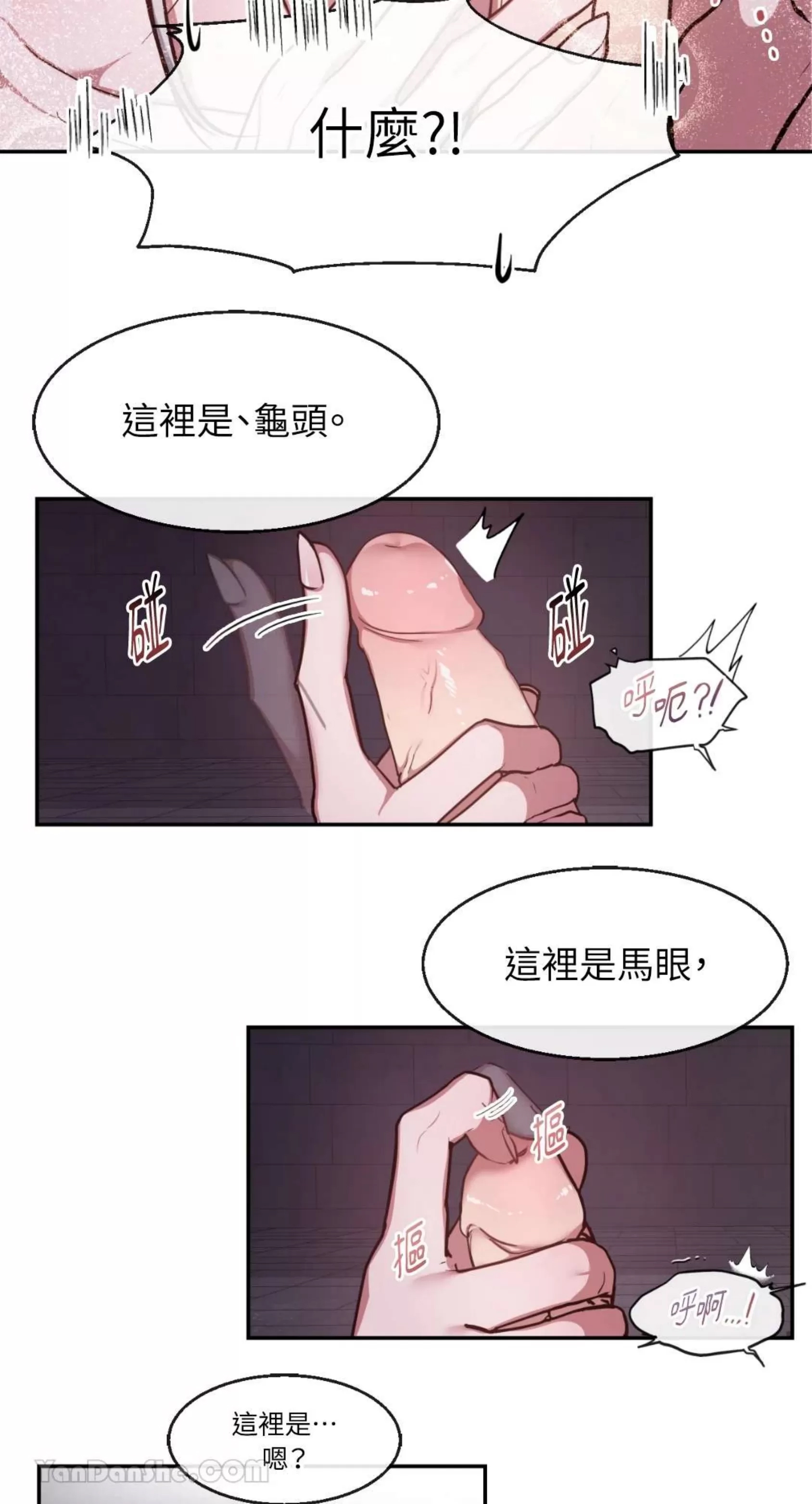 第 38 页