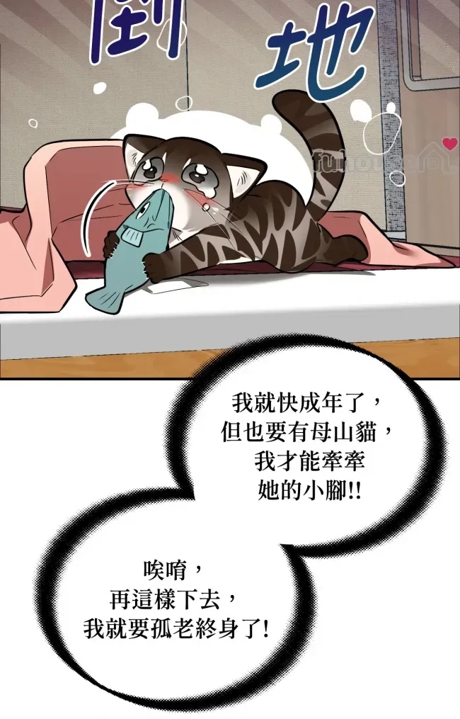 第 77 页