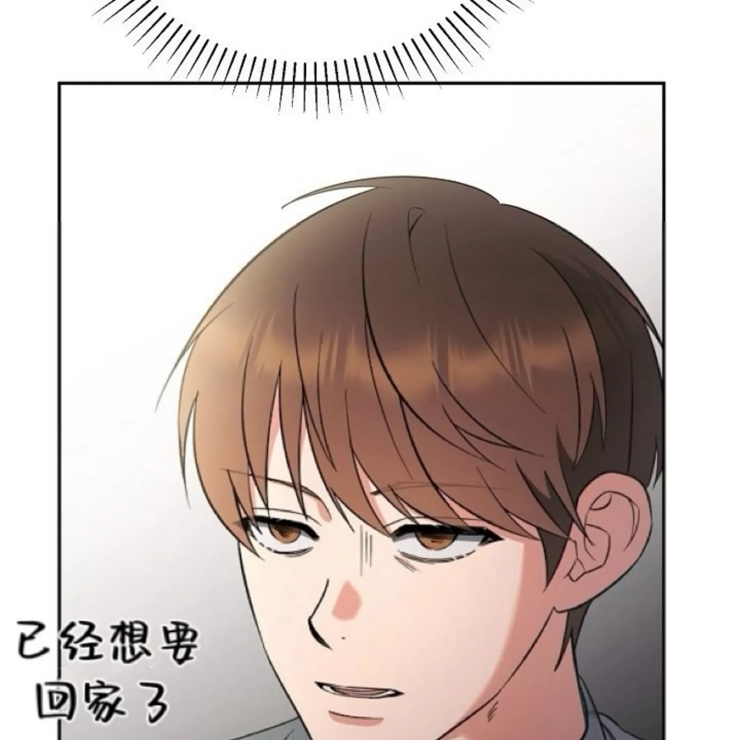 第 204 页