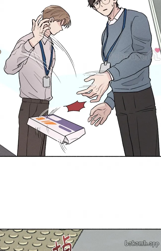 第 50 页