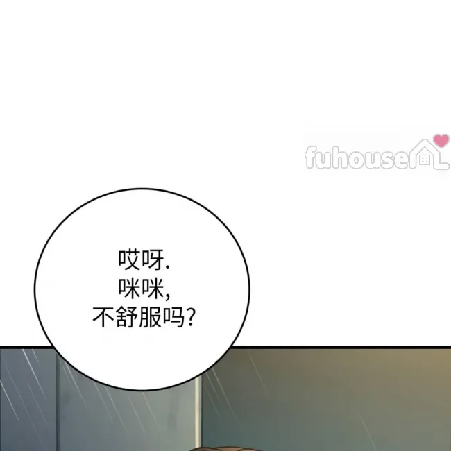第 278 页