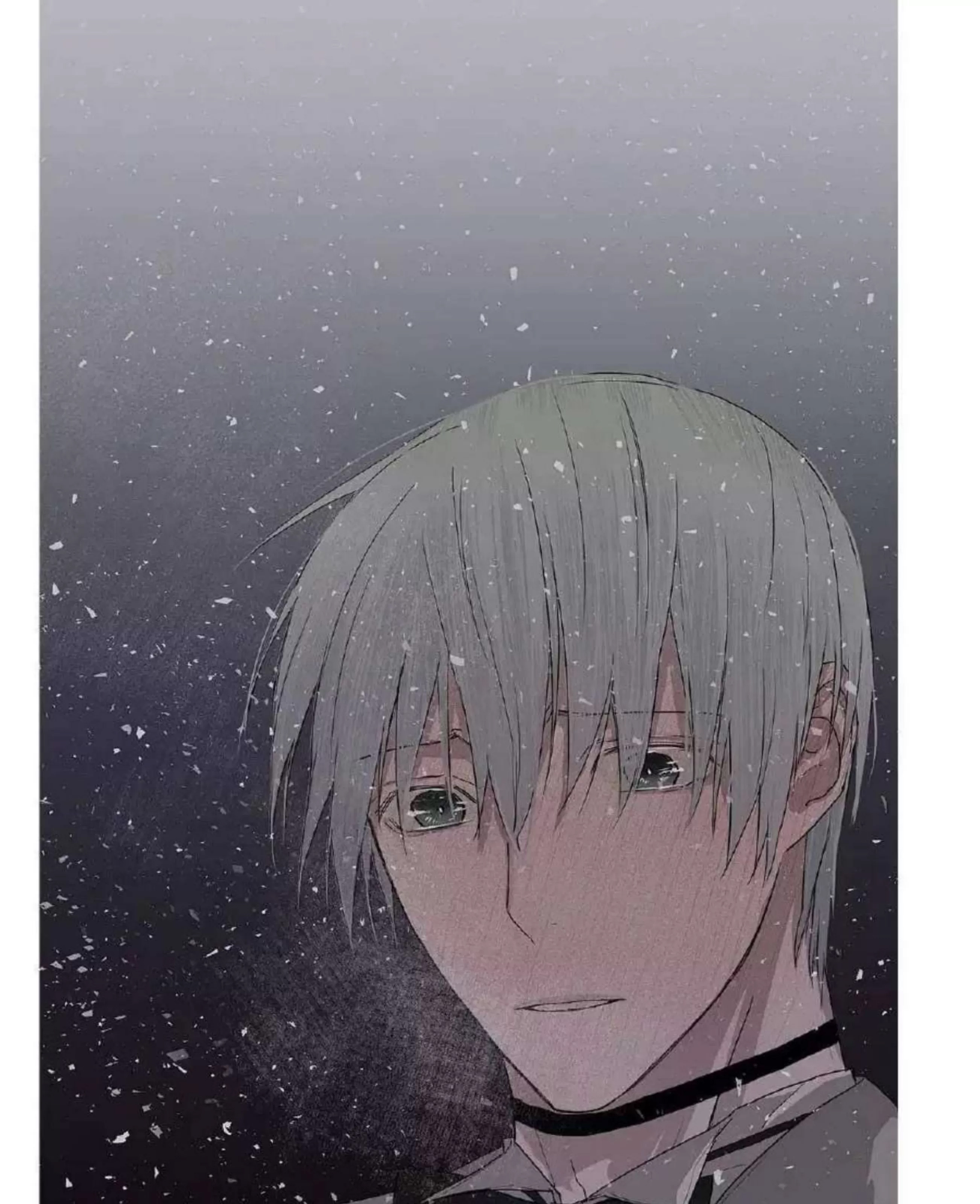 第 233 页