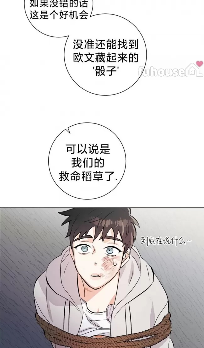 第 48 页