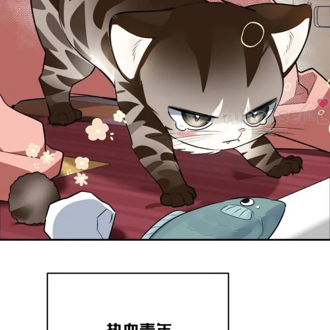 第 69 页