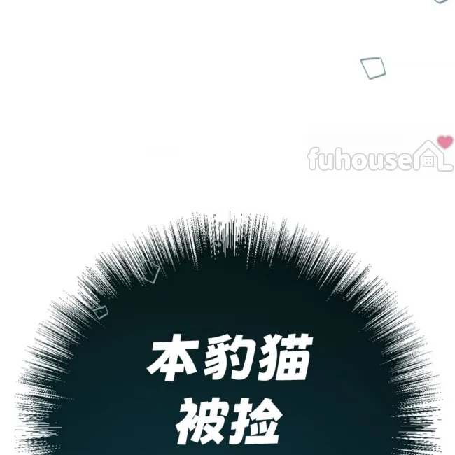 第 256 页