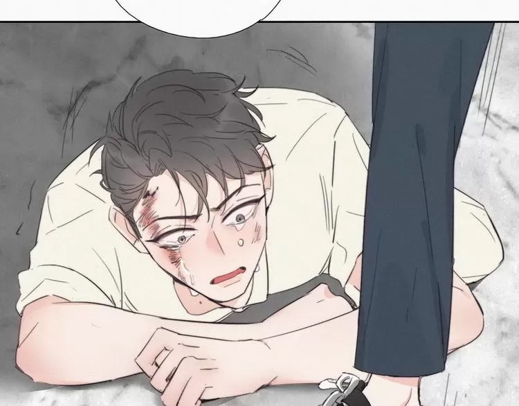 第 223 页