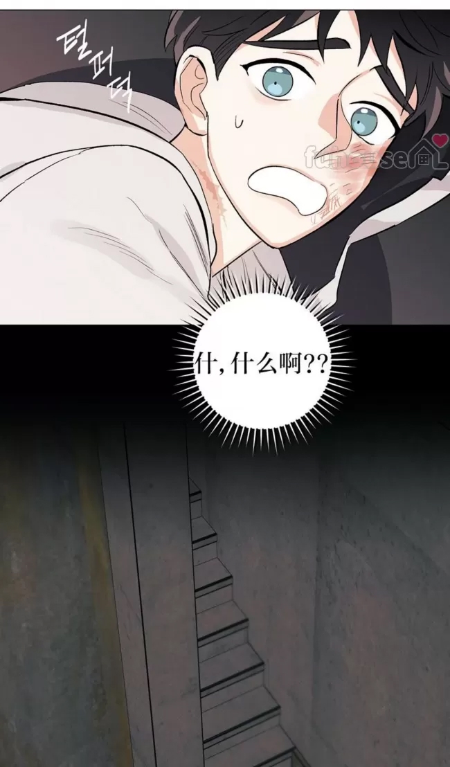 第 71 页