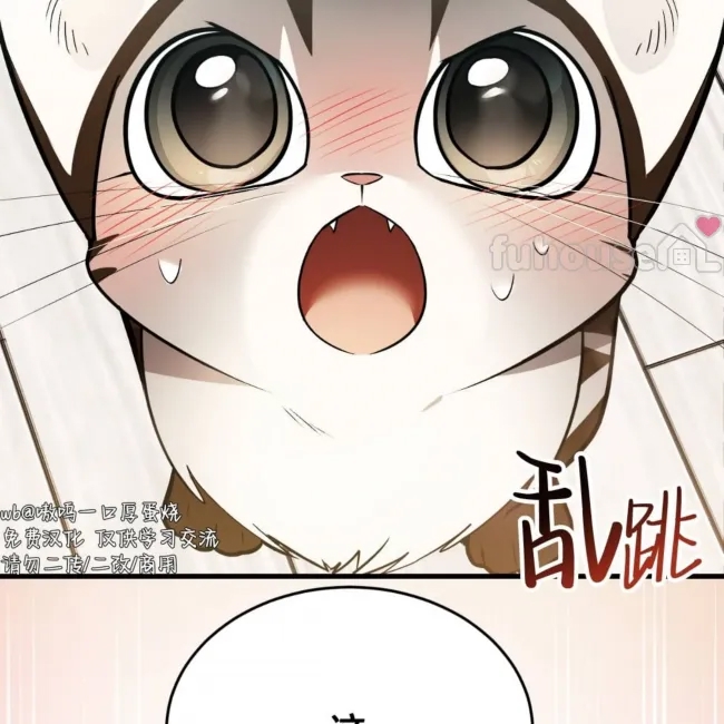 第 42 页