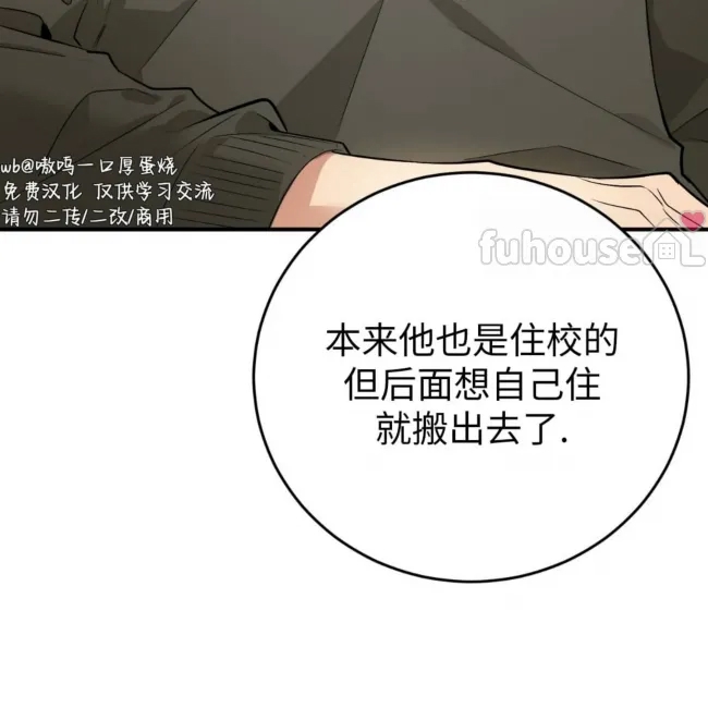 第 204 页