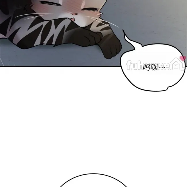 第 282 页