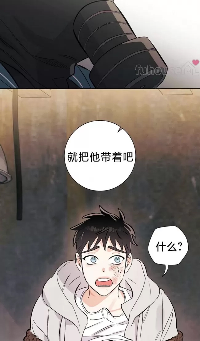 第 41 页
