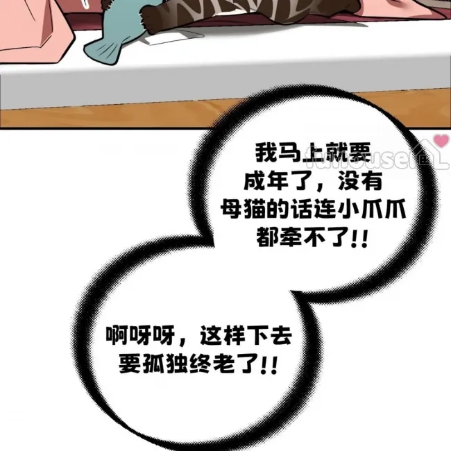 第 113 页