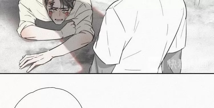 第 206 页