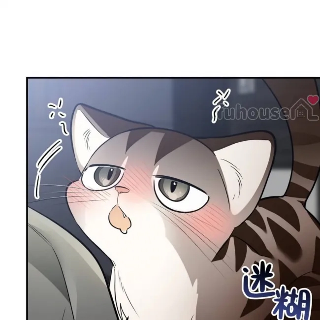 第 250 页