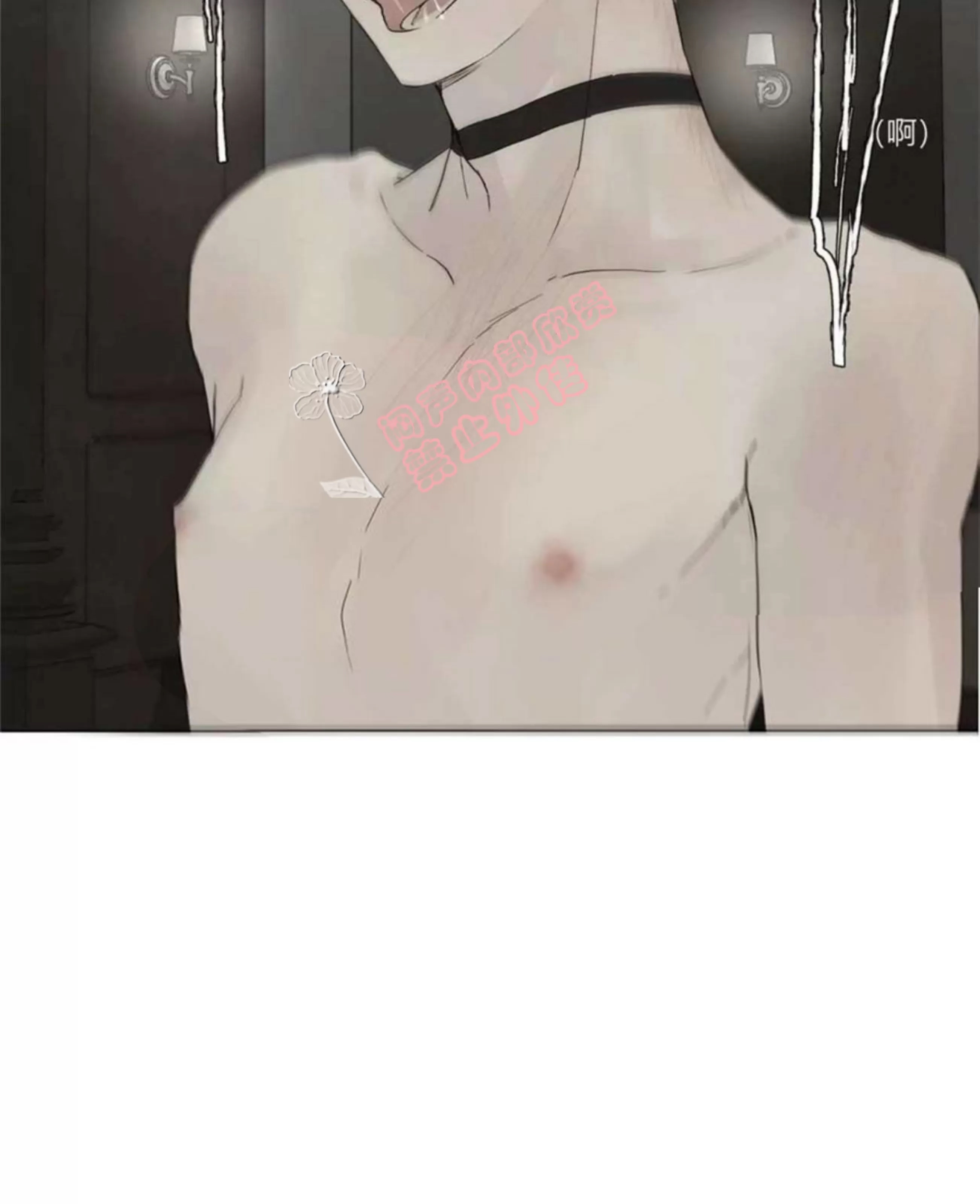 第 204 页