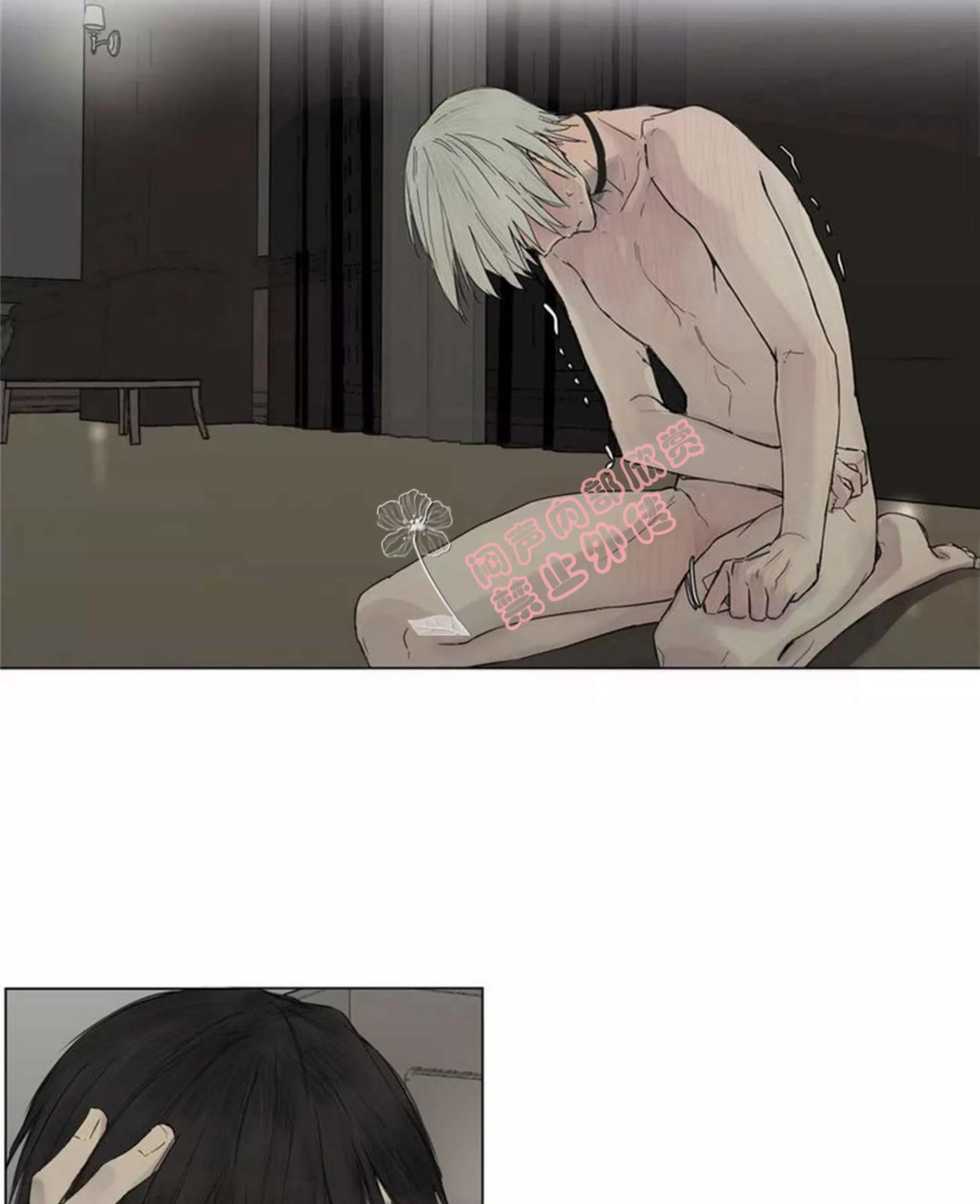 第 224 页