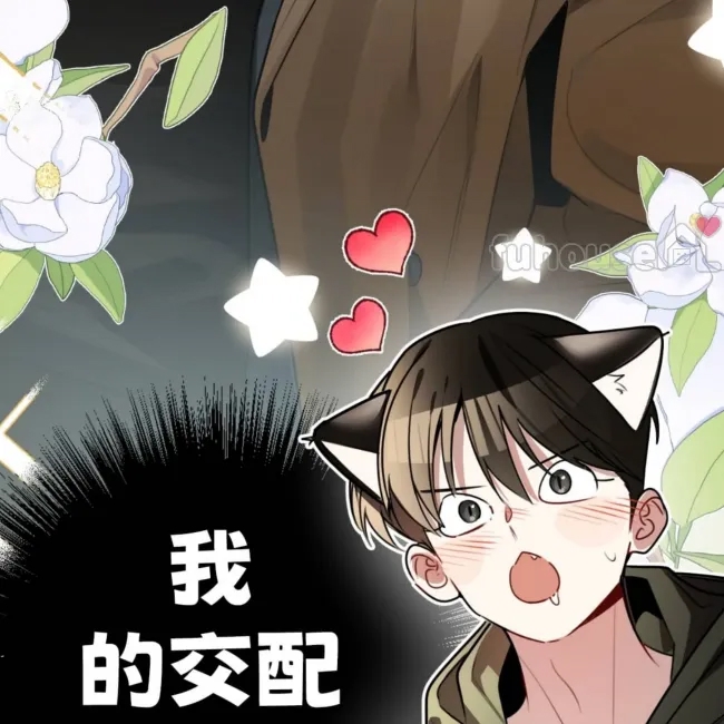 第 95 页