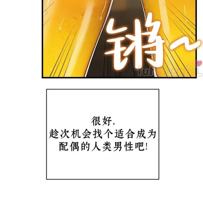 第 237 页