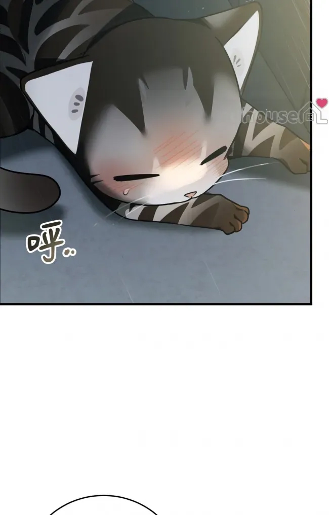 第 190 页