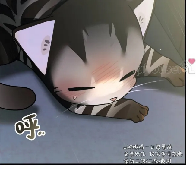 第 277 页