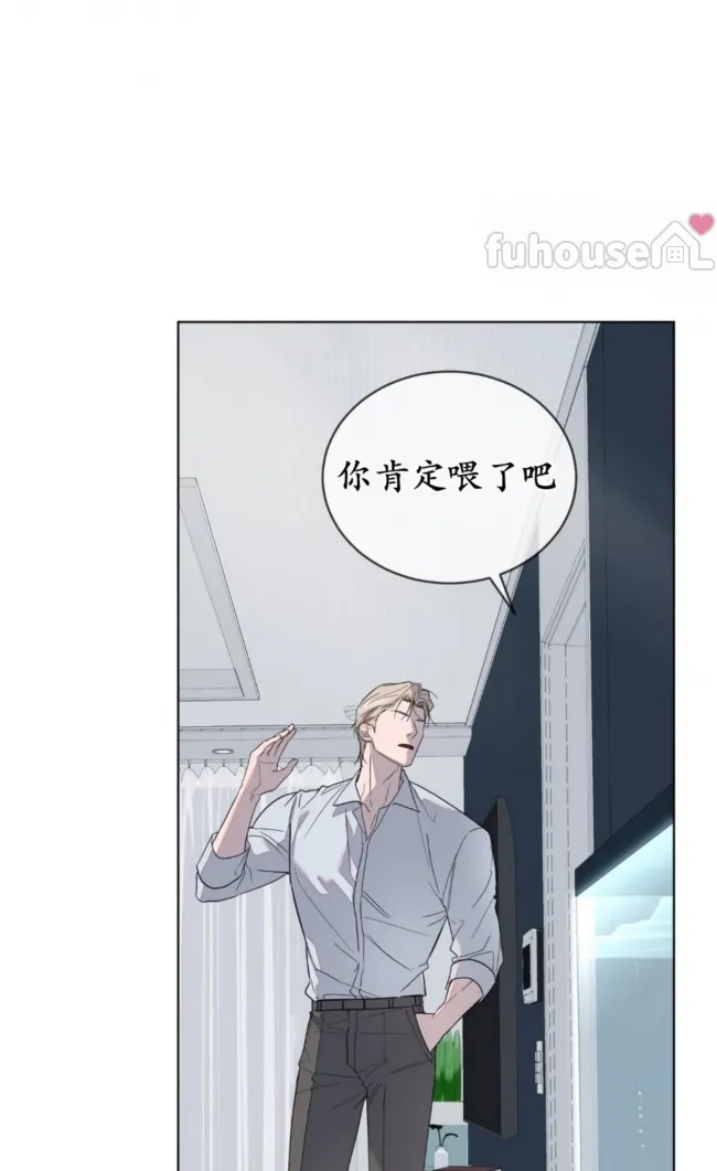 第 91 页