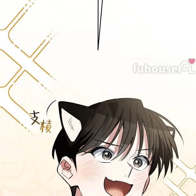 第 155 页