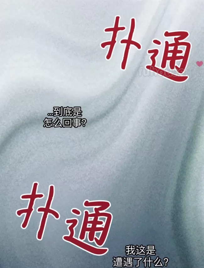 第 81 页