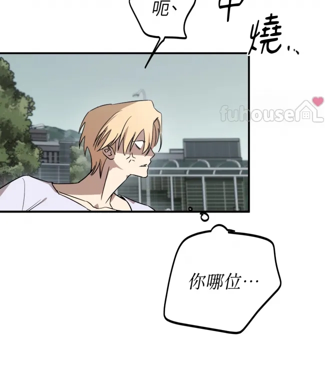 第 100 页