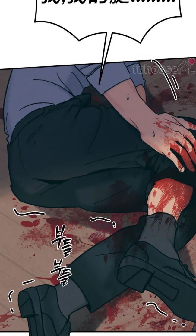 第 97 页
