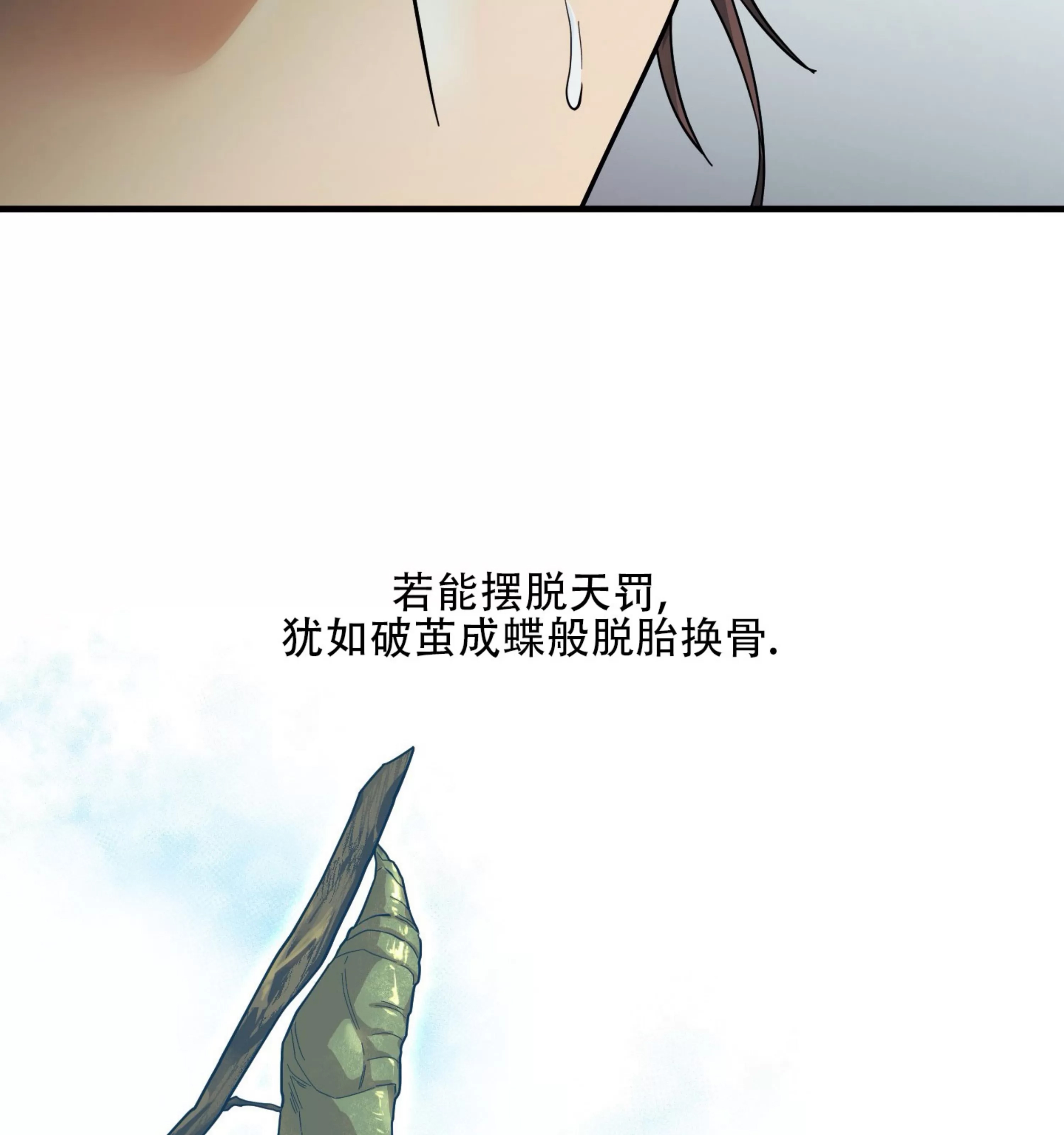 第 100 页