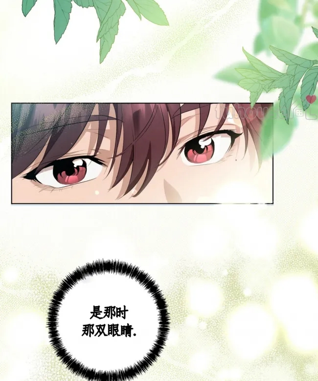 第 118 页