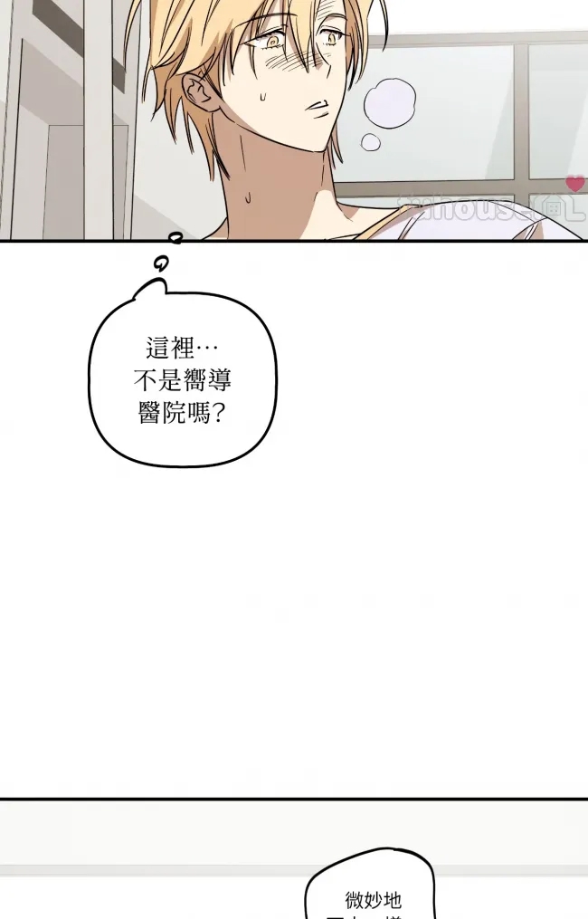 第 61 页