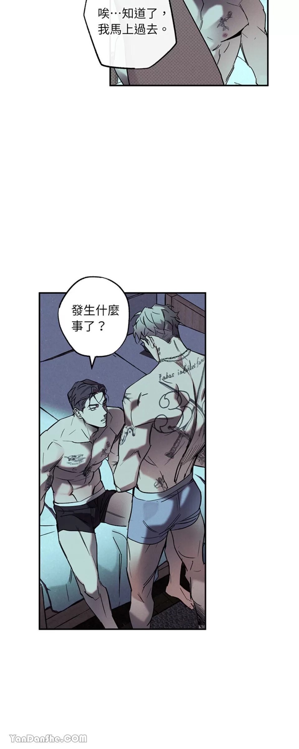第 31 页