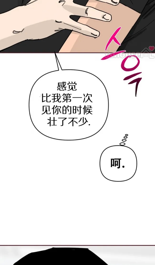 第 53 页