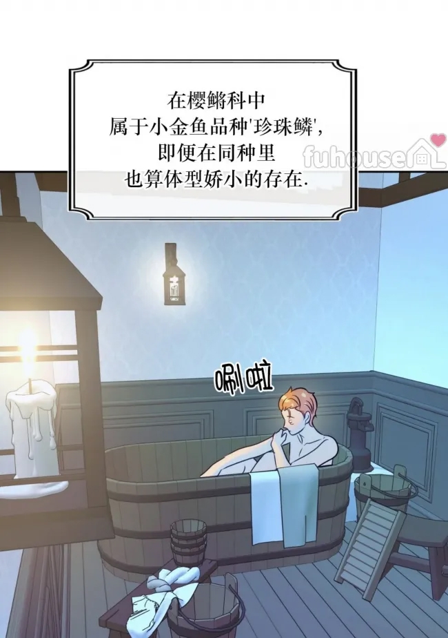 第 51 页