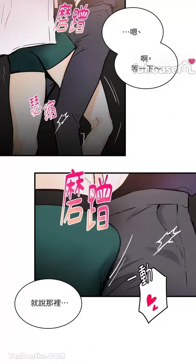 第 41 页